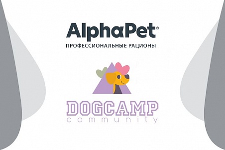 DOG CAMP community 