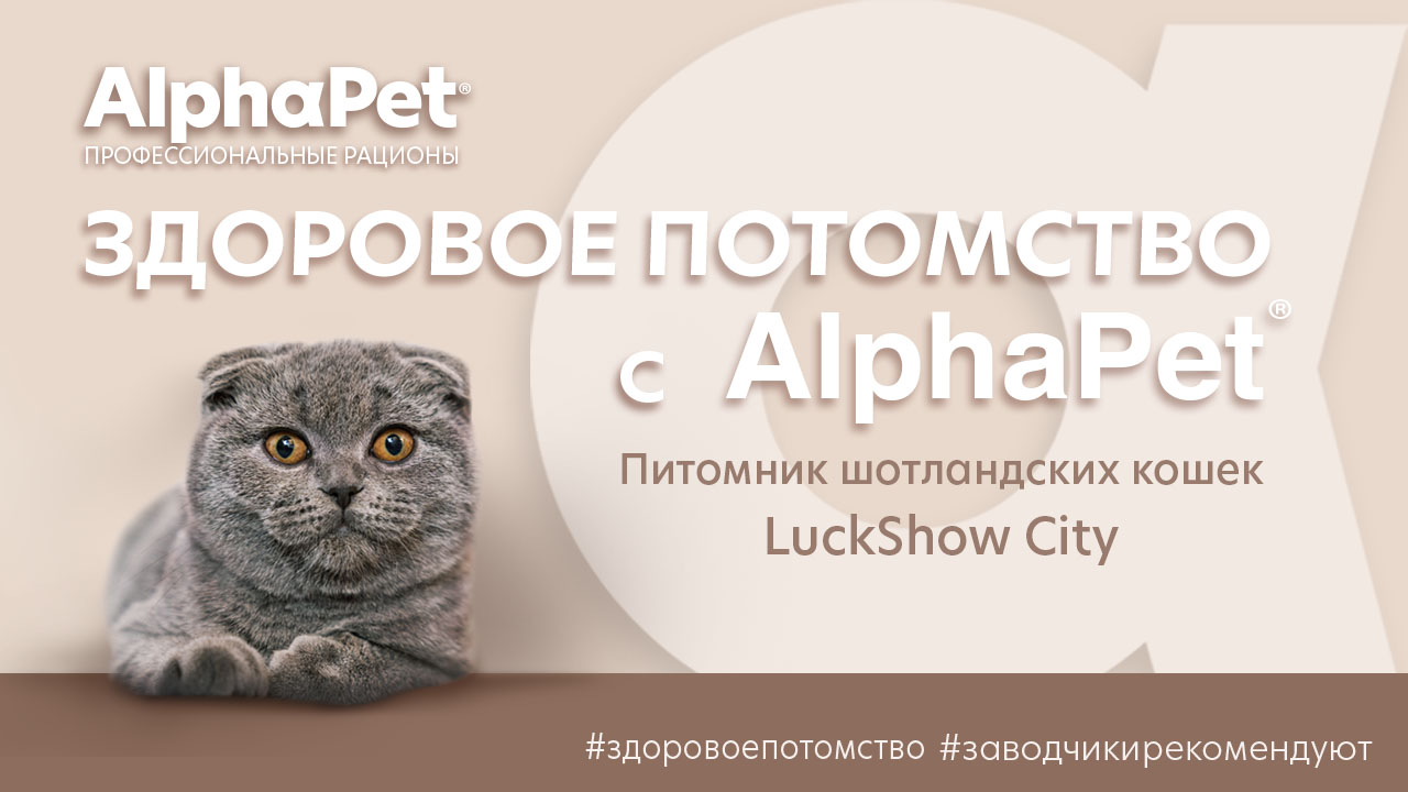 Здоровое потомство AlphaPet | Питомник Luck Show City