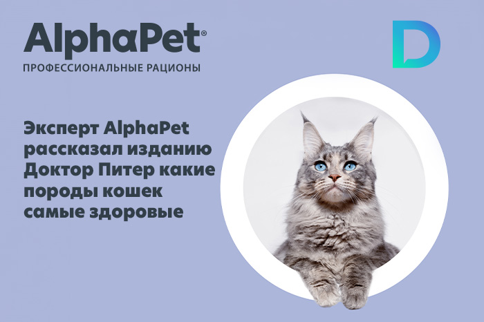 Эксперт AlphaPet рассказал изданию Доктор Питер какие породы кошек самые здоровые