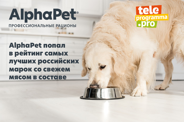 Берите только эти корма для собак: пять лучших российских марок — внутри свежее мясо