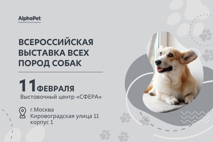 Всероссийская выставка всех пород собак 
