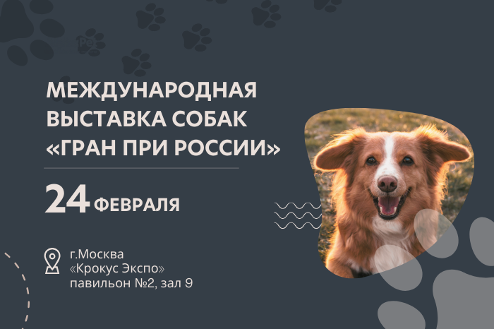международная выставка собак "Гран При России"