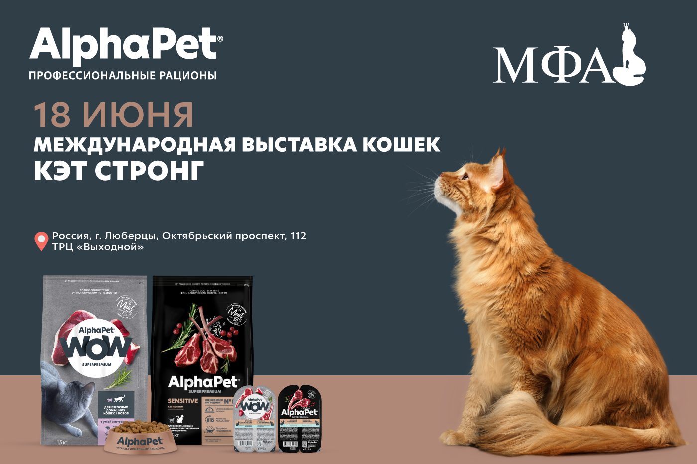 Международная выставка кошек "КЭТ СТРОНГ"