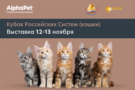 Кубок Российских Систем ( кошки) 