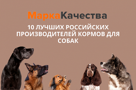 10 лучших российских производителей кормов для собак